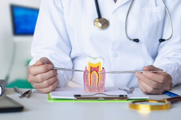 Best Broken or Cracked Tooth Emergency Dentist in East Alton, IL